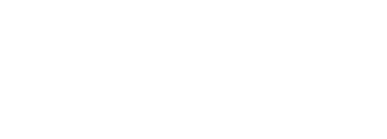 Logo-DS-PNG